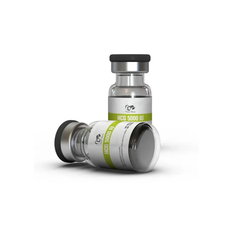 HCG 5000 IU (Human Chorionic Gonadotropin) | Dragon Pharma