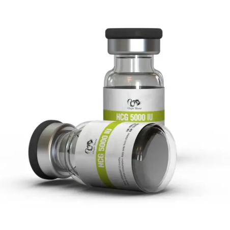 HCG 5000 IU (Human Chorionic Gonadotropin) | Dragon Pharma
